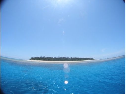 沖縄ダイビングサービス あいる・ぷまんどぅ のギャラリー