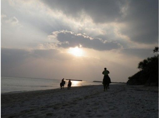 伊江島ビーチサイドホースパーク(Iejima Beachside Horse Park