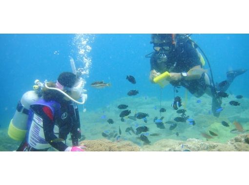 アクアトリップダイビング(AQUA TRIP DIVING) Reservations・Access