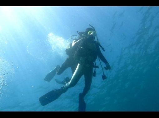 アクアトリップダイビング(AQUA TRIP DIVING)の予約・アクセス・営業時間 | アクティビティジャパン