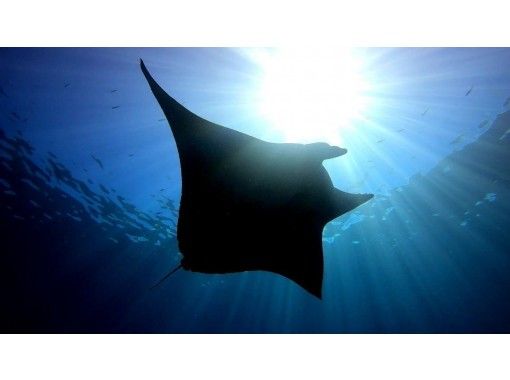 石垣島ツアーガイドAll Blue(オールブルー) のギャラリー