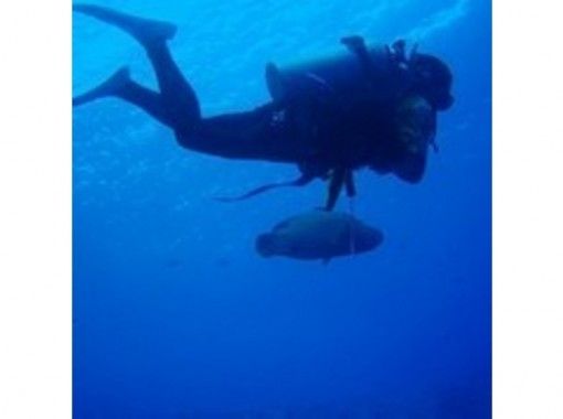 石垣島ツアーガイドAll Blue(オールブルー) のギャラリー