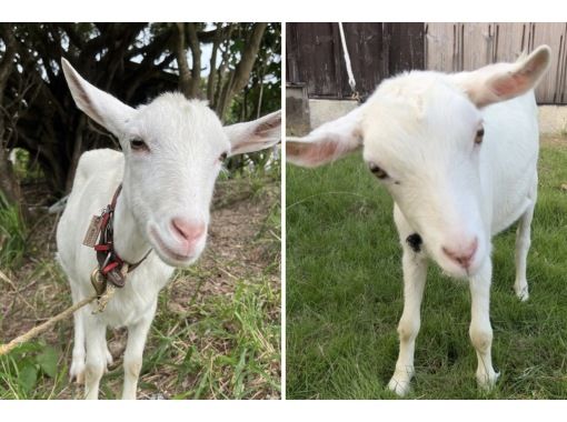 石垣島ツアーガイドAll Blue(オールブルー) のギャラリー