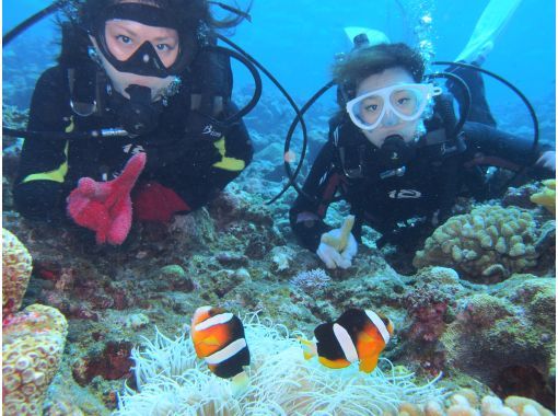 石垣島ツアーガイドAll Blue(オールブルー) のギャラリー