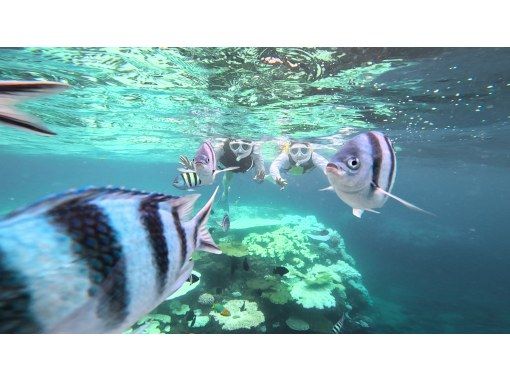 DIVE ROCK(ダイブロック) のギャラリー