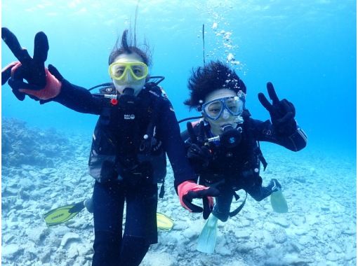 アシビーブルー(DIVING SERVICE ASHIBEE BLUE) のギャラリー