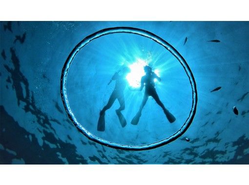 武藤潜水 のギャラリー