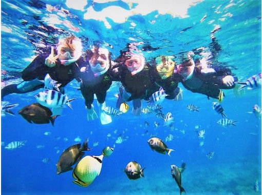 武藤潜水 のギャラリー