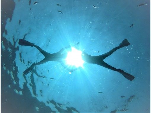 武藤潜水 のギャラリー