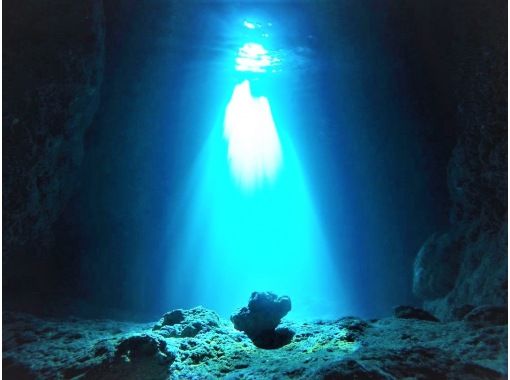 武藤潜水 のギャラリー