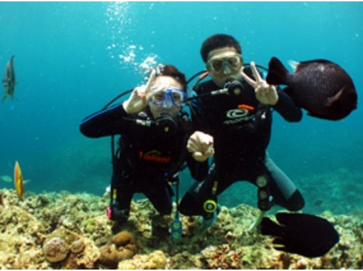 クーランマランダイビングセンター Courant Marin Diving Center の予約 アクセス 営業時間 アクティビティジャパン クーランマランダイビングセンター Courant Marin Diving Center の予約 アクセス 営業時間 アクティビティジャパン