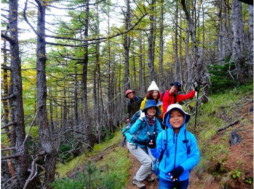 富士山ネイチャーツアーズ(Nature Tours) のギャラリー