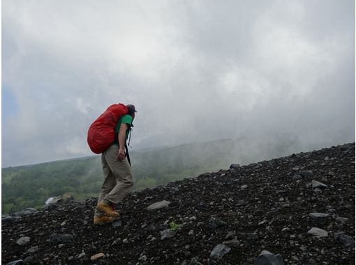 富士山ネイチャーツアーズ(Nature Tours) のギャラリー