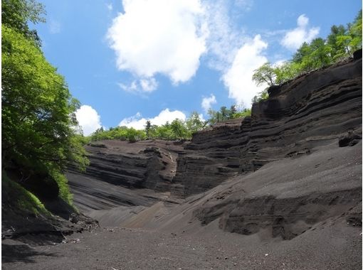 富士山ネイチャーツアーズ(Nature Tours) のギャラリー