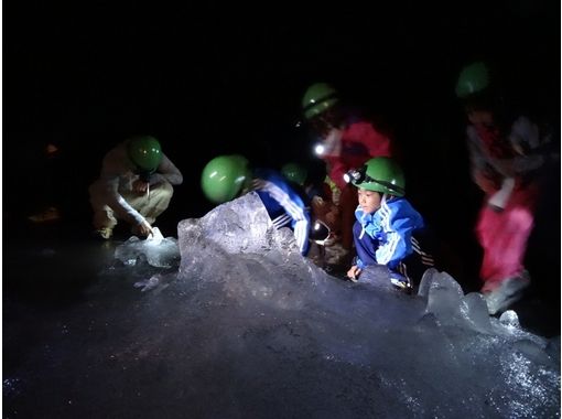 富士山ネイチャーツアーズ(Nature Tours) のギャラリー