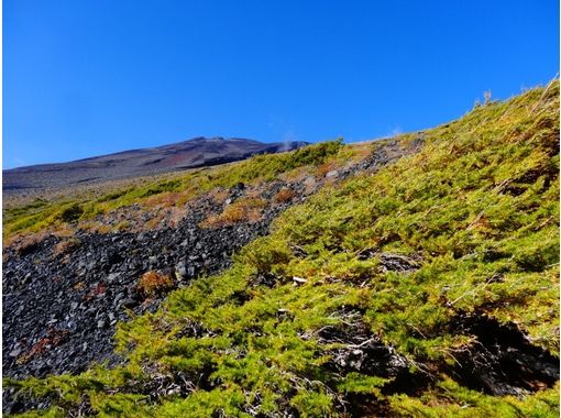 富士山ネイチャーツアーズ(Nature Tours) のギャラリー