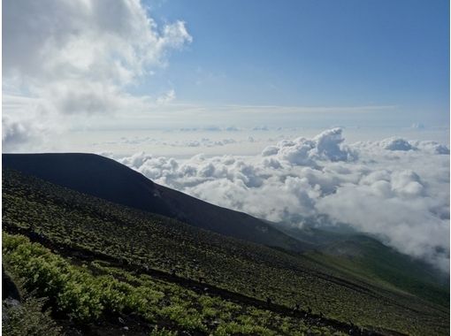 富士山ネイチャーツアーズ(Nature Tours) のギャラリー