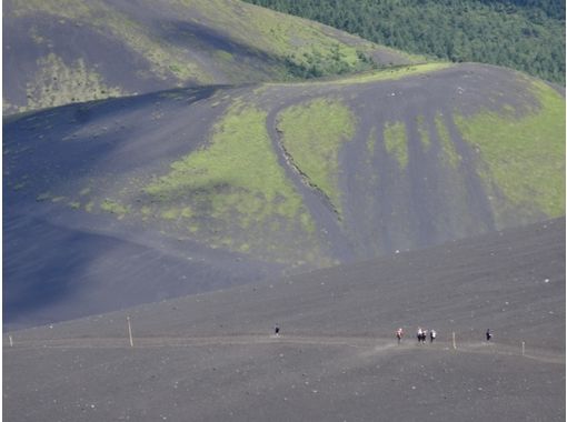 富士山ネイチャーツアーズ(Nature Tours) のギャラリー