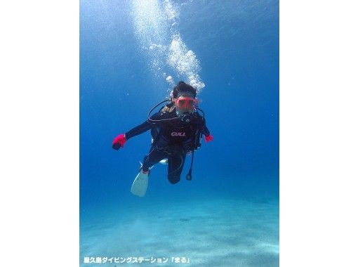 屋久島ダイビングステーション「まる」 のギャラリー