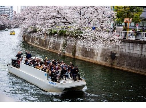 東京ウォータウェイズ(TokyoWaterWays) のギャラリー