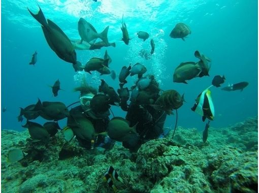 Simple marine service(シンプルマリンサービス) のギャラリー