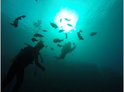 Simple marine service(シンプルマリンサービス) のギャラリー