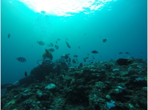 Simple marine service(シンプルマリンサービス) のギャラリー