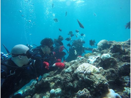 Simple marine service(シンプルマリンサービス) のギャラリー