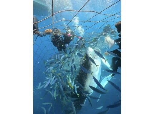 Simple marine service(シンプルマリンサービス) のギャラリー