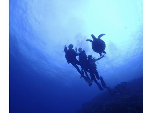 Simple marine service(シンプルマリンサービス) のギャラリー