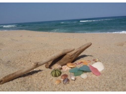 琴引浜鳴き砂文化館 のギャラリー