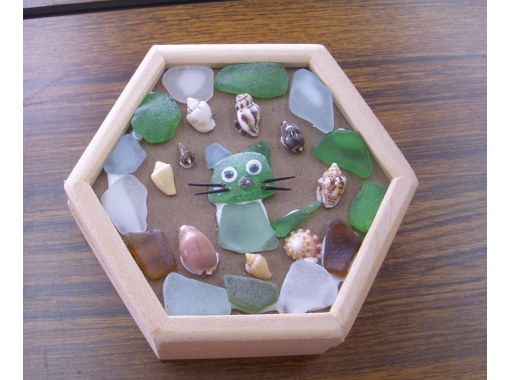 琴引浜鳴き砂文化館 のギャラリー