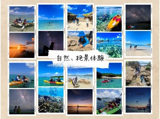 あおしょうびん のギャラリー