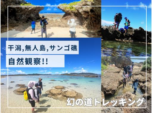 あおしょうびん のギャラリー