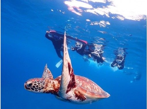 サマードリーム石垣島の割引プラン