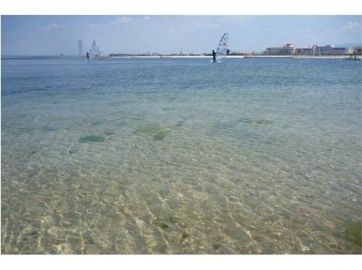 アワス(AWAS) のギャラリー