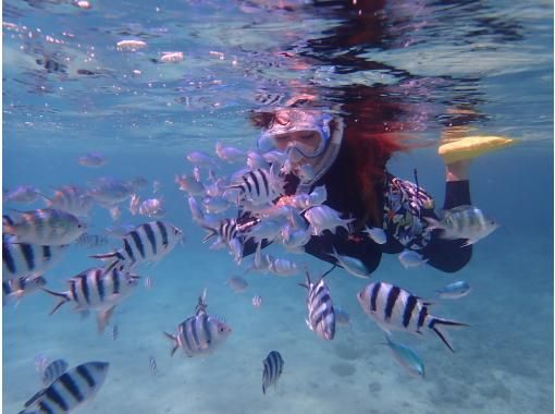 COSMIC OCEAN のギャラリー