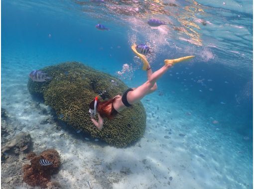 COSMIC OCEAN のギャラリー