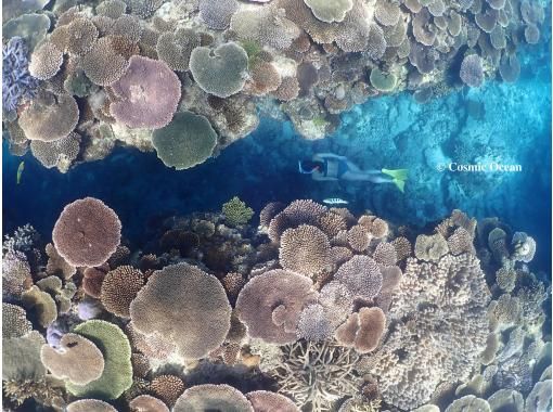 COSMIC OCEAN のギャラリー