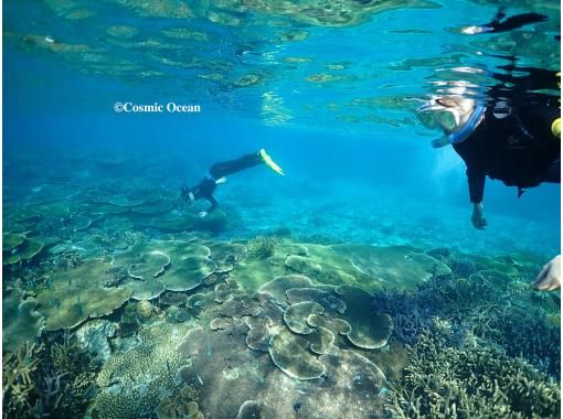 COSMIC OCEAN のギャラリー