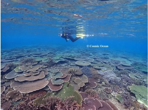 COSMIC OCEAN のギャラリー