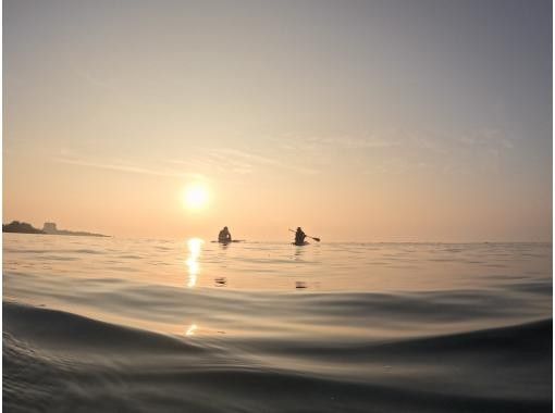 オーシャンキング のギャラリー