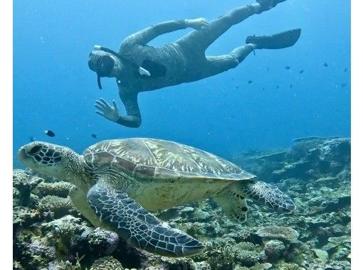 オリオン石垣島エコツアー のギャラリー