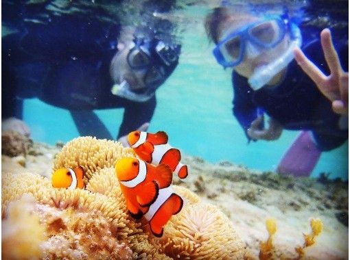 オリオン石垣島エコツアー のギャラリー