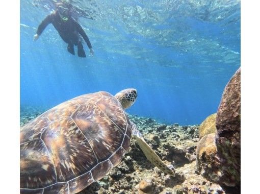 オリオン石垣島エコツアー のギャラリー