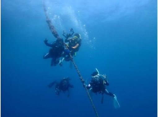 だいびんぐしょっぷ海家(うみや) のギャラリー