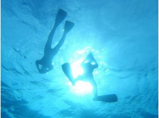 だいびんぐしょっぷ海家(うみや) のギャラリー