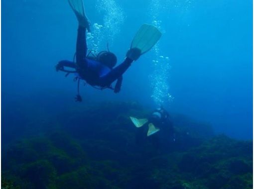 だいびんぐしょっぷ海家(うみや) のギャラリー