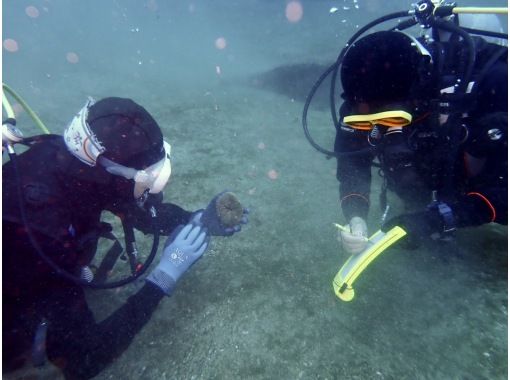 だいびんぐしょっぷ海家(うみや) のギャラリー