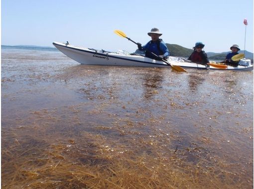 平戸カヤックス(Hirado Kayaks) のギャラリー